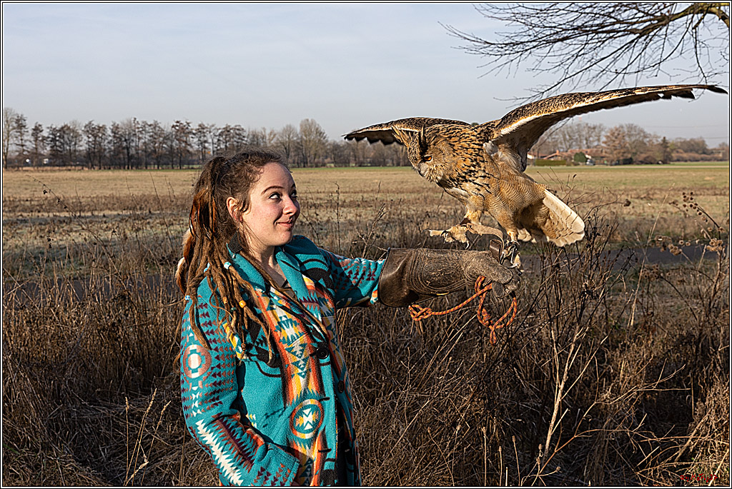 Cheyenne-Halbblut Hunting Wolf in der Falknerei Pierre Schmidt; Gymnich, 09.02.2023